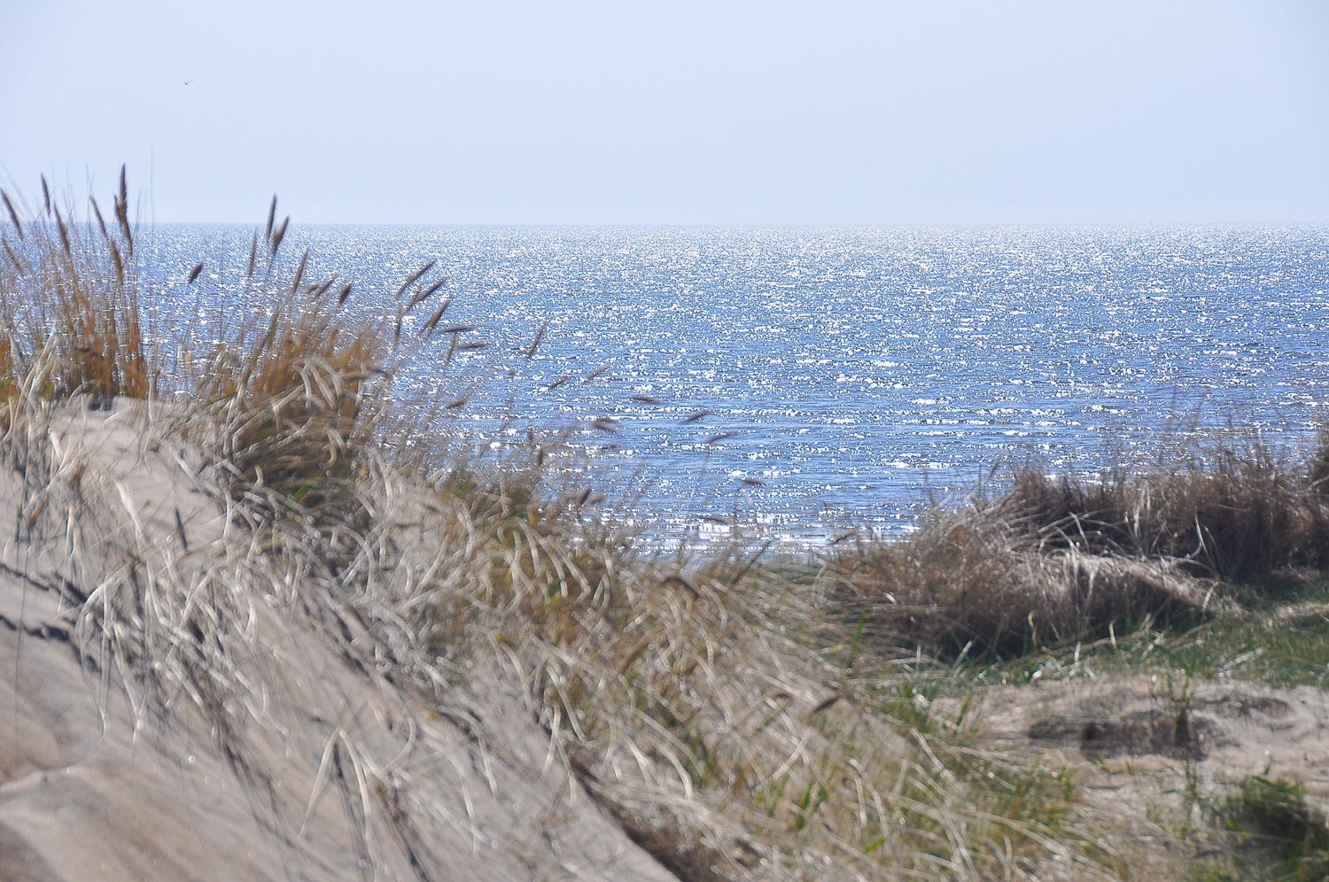 Snäppans Fritidsby 33