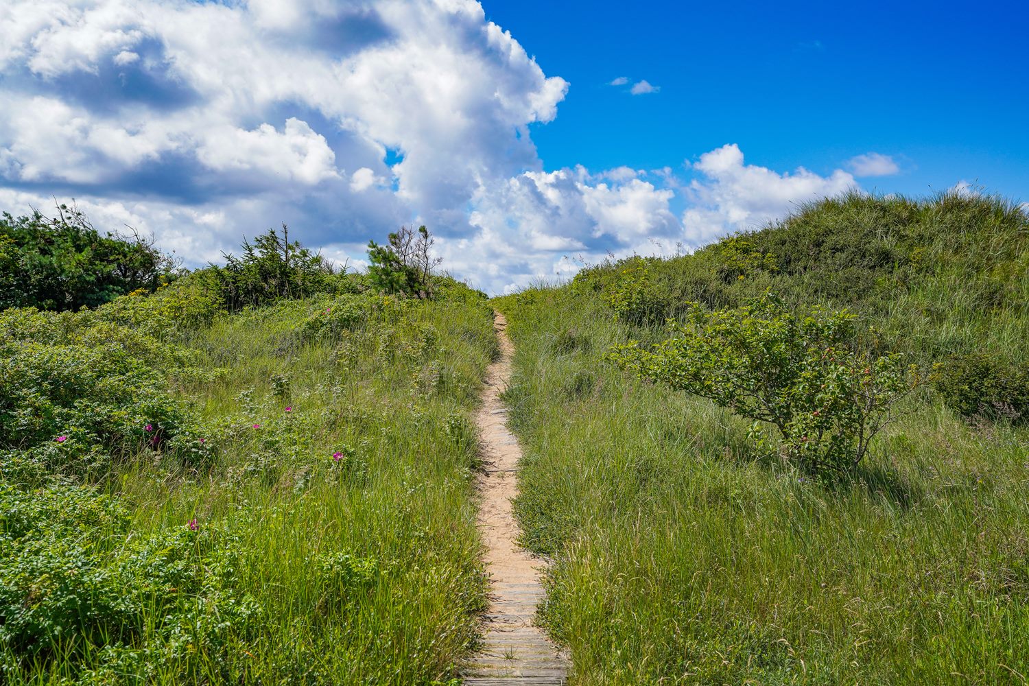 Viggens Fritidsby 155